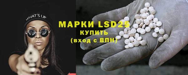 прущие грибы Нефтекумск