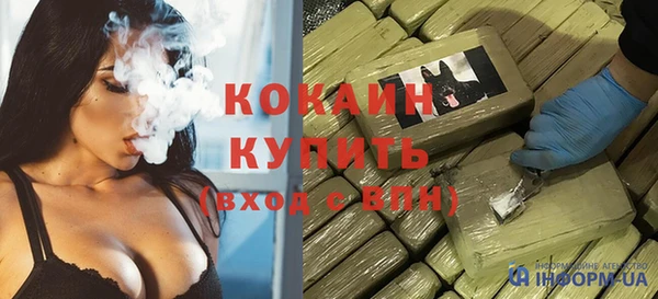 прущие грибы Нефтекумск