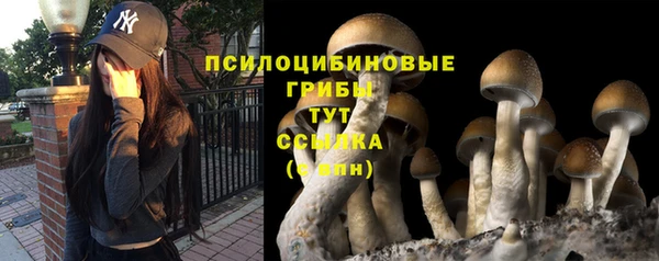 тгк Нефтегорск
