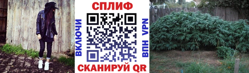 Канабис OG Kush  где найти   Смоленск 